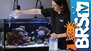 How To Dosing 2 Part in Your Reef Tank [upl. by Devona283]