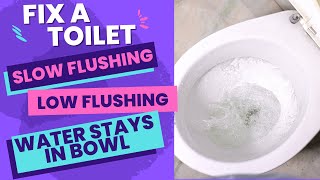 Toilet Wont Flush  Slow Flushing Toilet  Water Stays in Bowl [upl. by Rica]