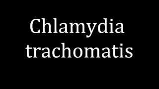 How to pronounce Chlamydia trachomatis [upl. by Hollinger]