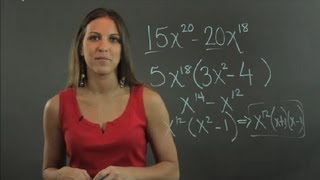 How to Factor a Polynomial With Large Exponents  Lessons in Math [upl. by Lletnahs]