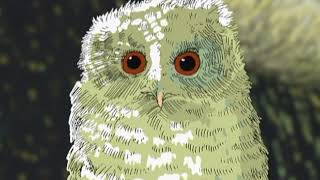 Owl Babies Channel 4 [upl. by Toland]