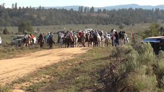 Pony Express Race [upl. by Carola]