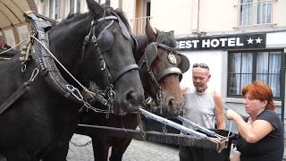 A trip by horse and carriage to Brussels [upl. by Elletnohs]