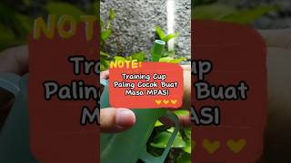 Review Training Cup MPASI Anti Tumpah [upl. by Lash]