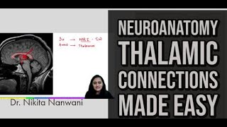 Thalamus made easy Anatomy Nuclei and connections  Cheat codes and concepts with DrNikita [upl. by Ogilvy]