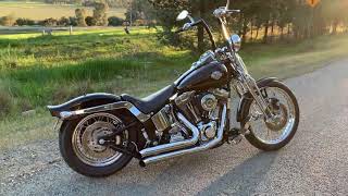 Harley Davidson Springer Softail [upl. by Cross84]