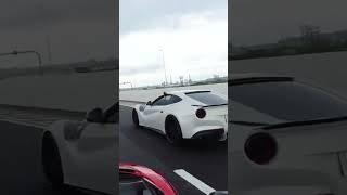 🤣アカン人って🤣 automobile aventador supercar [upl. by Alliuqaj143]