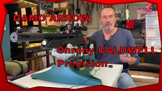 GAMO ARROW PCP 45  Impressions  Chrony Caldwell  Précision [upl. by Ariaj395]