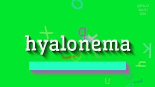 HOW TO SAY HYALONEMA hyalonema [upl. by Ajram]