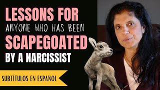 Lessons for anyone who was scapegoated by a narcissist Narcissistic Family Roles [upl. by Pasahow777]