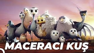 Maceracı Kuş Yellowbird Animasyon Filmi  Full Film İzle [upl. by Garin]