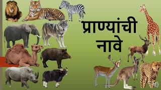 जंगली प्राण्यांची नावे in Marathi Learn birds names in Marathi with English  Learning For Kids [upl. by Weide]