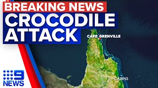 Crocodile attack off remote island in Far North Queensland  9 News Australia [upl. by Ehcor]