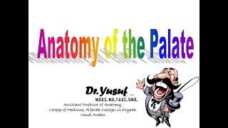 Anatomy of the PALATE  Hard Palate  Soft Palate  Dr Yusuf [upl. by Isus]