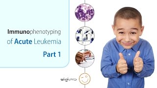 Immunophenotyping of Acute Leukemia  Part 1 of 4 [upl. by Ki]