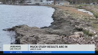 Officials announce testing of mysterious muck on shoreline of Lake St Clair [upl. by Nabetse]