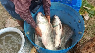 fishing blogging Bangladesh বাংলাদেশের পুকুরে কি ধরনের মাছ হয় যেমন রুই কাতল ইত্যাদি 🐟 [upl. by Anallese]