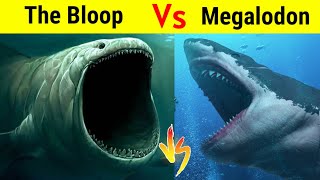 Bloop Vs Megalodon  क्या रहस्यमयी Bloop है समुन्द्र का असली बादशाह [upl. by Eyk]