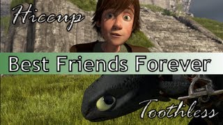 HTTYD  Hiccup amp Toothless Best Friends Forever [upl. by Yanaj]