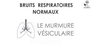 Bruits Respiratoires  Ecoutez le Murmure Vésiculaire [upl. by Ness]