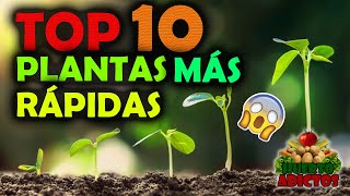 Los 10 Cultivos Que Crecen Más Rápido 🌱Huertos Urbanos  Huerto Adictos [upl. by Selij]