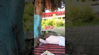 ट्रैन पुल पर कैसे पार करती है viralvideo railway reels train automobile [upl. by Elleiad]