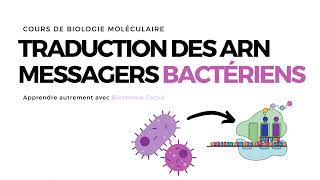 TRADUCTION CHEZ LES PROCARYOTES  ACIDES NUCLEIQUES [upl. by Hadley979]