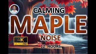 Calming Maple Brown Noise  12 Hours BLACK SCREEN  Study Sleep Tinnitus Relief amp Focus [upl. by Elsey]