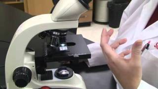 Introduction to the Light Microscope [upl. by Oitaroh]