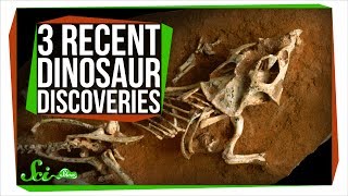 3 MindBlowing Recent Dinosaur Discoveries [upl. by Raffin518]