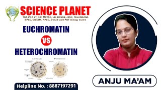 Euchromatin Vs Heterochromatin Explain by Anju Mam of Science Planet [upl. by Aihc]