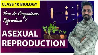 10th BIOLOGY How do Organisms Reproduce Unbelievable [upl. by Caitlin]