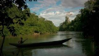 Stranger in the Forest quotFirst Contactquot in the Amazon [upl. by Oaks]