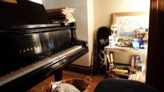 Raggy Rag  Floyd Willis Ragtime Piano [upl. by Reiko]