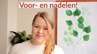 Budgetteren de voor en nadelen  tips [upl. by Netsirhk849]