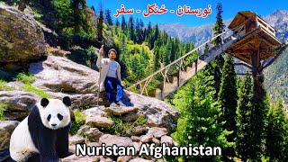 Nuristan Dangerous forest  Afghanistan  د نورستان ځنګل سفر [upl. by Boyt]