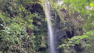 WaterfallWednesday 2 Mallyan Spout [upl. by Betty]