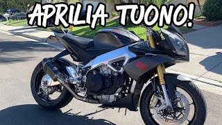 2015 Aprilia Tuono RSV4 Engine Swap  Part 1 [upl. by Hawk]