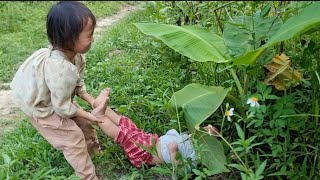 landslide tree fell near the house sister picked fruit to sell bodonthan123 [upl. by Ahsinam]