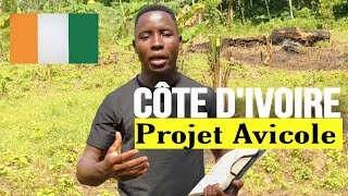 Côte dIvoire  Un Projet Avicole dans ce pays gorgé dopportunités [upl. by Amaleta]