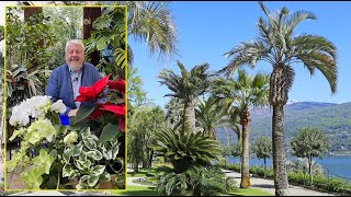 LES MEILLEURS PALMIERS RUSTIQUES UNE TOUCHE EXOTIQUE DANS LE JARDIN Le Quotidien du Jardin N°310 [upl. by Airetnuhs]