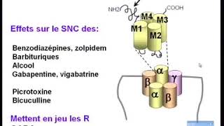 Pharmacologie des benzodiazepines psychotropes hypnotiques sedatifs anxiolytiques 2 [upl. by Eseyt]