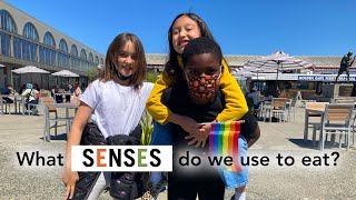 Foodwise Kids What Senses Do We Use to Eat [upl. by Akerley]