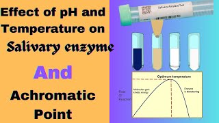 Effect of pH and temperature on Salivary enzyme and Achromatic Point determination Biochemistry [upl. by Quinta]