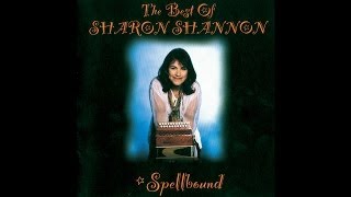 Sharon Shannon  The Woodchoppers  The Reel des Voyageurs Live Audio Stream [upl. by Albright21]