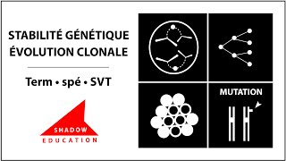 Stabilité génétique et évolution clonale  Term spé SVT [upl. by Berenice]