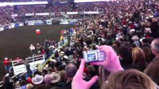 Bull leaps into stands at CFR Friday November 13 2010 [upl. by Marisa130]