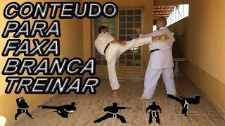 FAIXA BRANCA CONTEUDOTÉCNICASSHOTOKANDOJO AMAKUZA GOIÃNIASENSEI PABLO DIONÍSIO [upl. by Anaynek180]