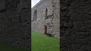 The History of Skipness Castle In Argyll Scotland scottishhistory scottishcastles [upl. by Rancell620]