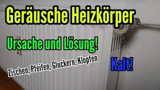 Heizung macht Geräusche Rauschen Gluckern Klopfen Pfeifen Zischen Heizkörper entlüften [upl. by Morry]